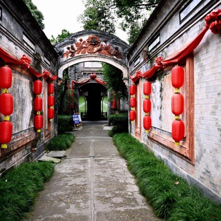 可爱的小孔雀救援